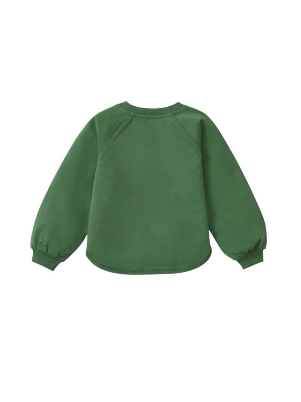 Burt’s Bees Charmed Green Organic Cotton Sweatshirt Size 4T St. Patrick’s Day